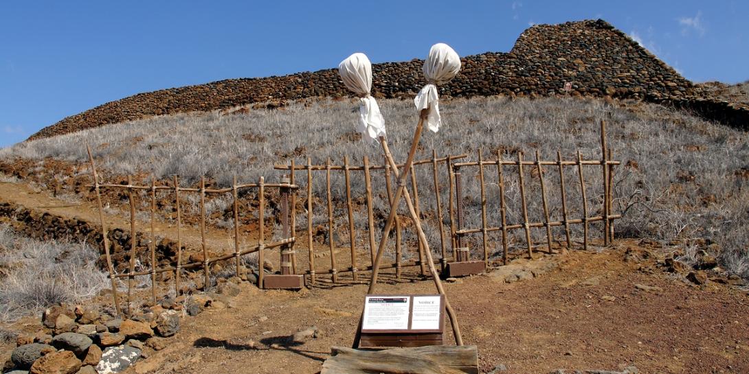 a hand made wooden gate guarded by traditional kapu poles